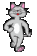 Gray Cat